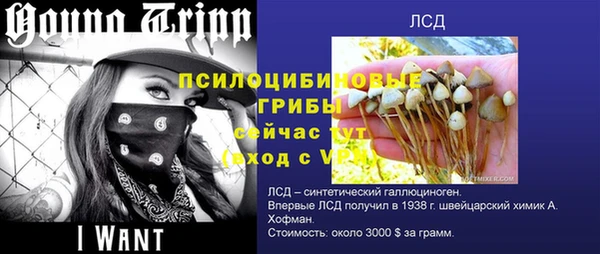 jwh Аркадак