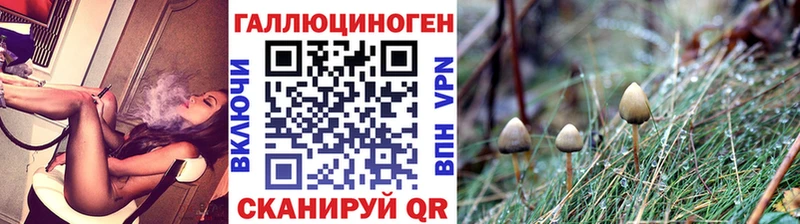 Галлюциногенные грибы мицелий Маркс
